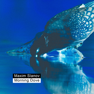 ♥樱桃视频♥入口在线看
