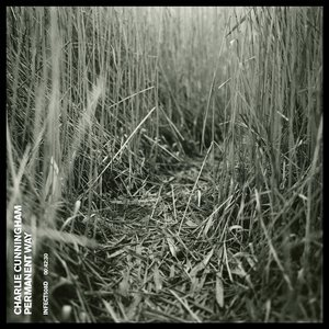 范冰冰高潮好紧水好多
